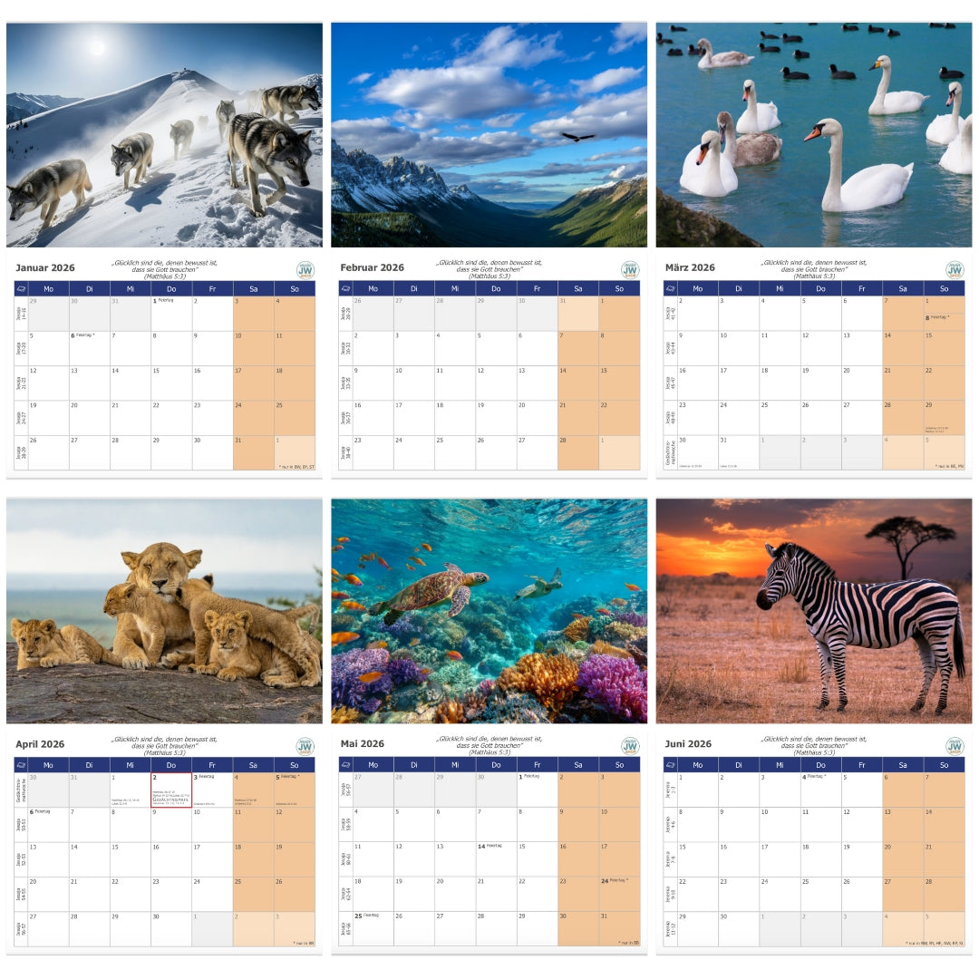 Wandkalender 2026 - mit wöchentlichen Bibelleseprogramm