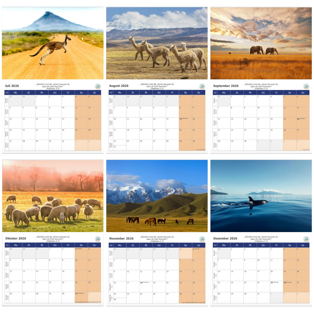 Wandkalender 2026 - mit wöchentlichen Bibelleseprogramm