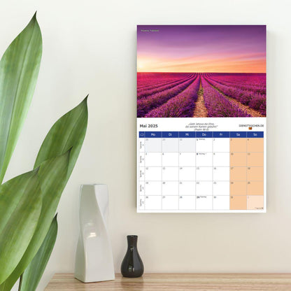 Wandkalender 2025 - mit wöchentlichen Bibelleseprogramm